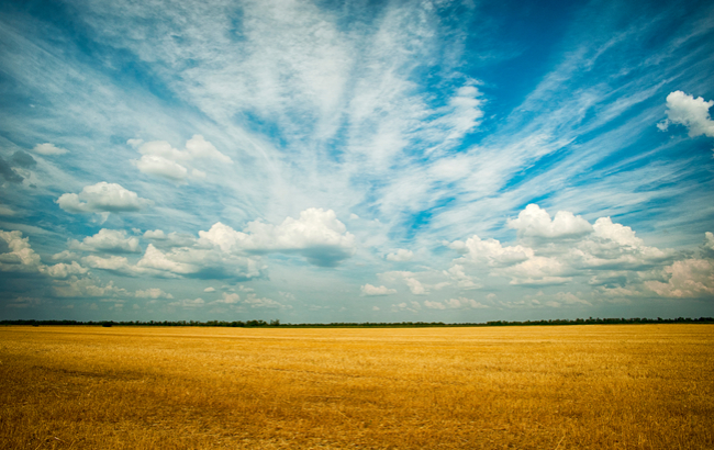 Продажа земли в Украине: в чем суть закона